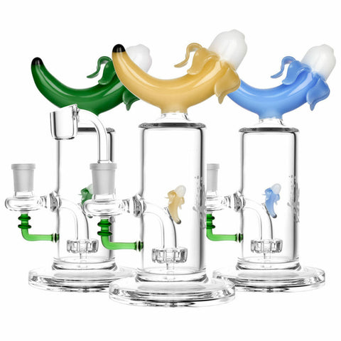 Pulsar 8" Banana Rig with Disc Perc - Assorted Colours